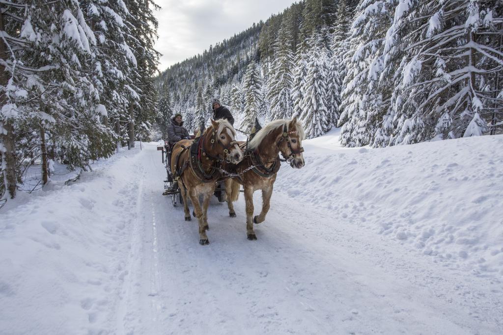 Landhotel Alpenhof Филцмос Екстериор снимка